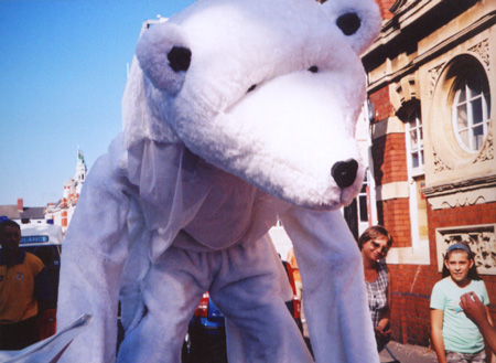 Polar Bear 1